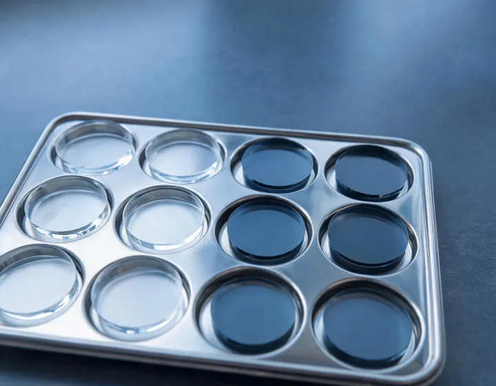 Grid of unlabeled photochromic lenses glasses blanks on a receiving tray